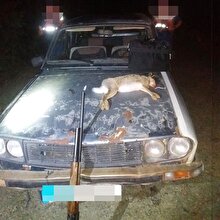 Burdur'da 'far avı' yapan kaçak avcılara 3 bin 551 lira ceza uygulandı