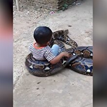 Bu nasıl bir cesaret böyle?