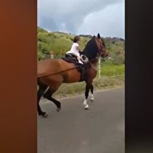 Tek başına at süren bebek yürekleri ağızlara getirdi!