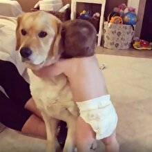 Köpeğine inatla sarılmaktan vazgeçmeyen sevimli bebek