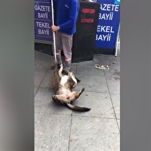 Temizlik işçisinin ilginç hareketi kamerada