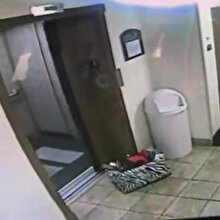Asansöre tasması takılan köpeği kurtaran kahraman!