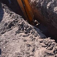 40 yıl önce kaybolan Kıbrıslı Türk'ün cesedi, midesindeki tohumdan incir ağacı çıkınca bulundu