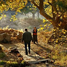 'Yabancı Dilde En İyi Film Ödülü'nde Oscar heykelciği için yarışacak olan filmler belli oldu