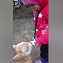 Oğlağa emziğini kaptıran bebeğin tatlı isyanı kamerada