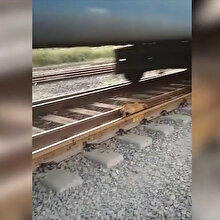 Raylarda yürüyen yavru köpeğin üzerinden tren geçti