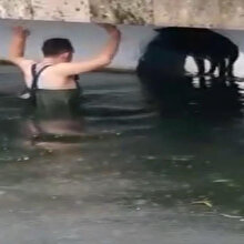 Suya düşen köpeği kurtarmak için buz gibi suya girdi
