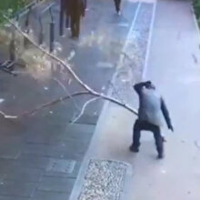 Yürüyüş için çıktığı parkta ölümle burun buruna gelen talihsiz adam