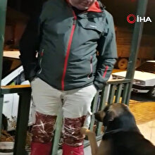 İlgi isteyen sokak köpeğinin gülümseten ısrarı