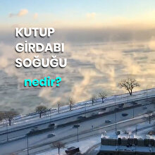 ABD'de 'kutup girdabı soğukları'ndan ilginç manzaralar