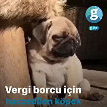 Vergi borcu nedeniyle köpeği haczettiler