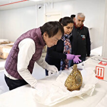 Turkish Cargo, sarayın eserlerini Japonya'ya taşıdı