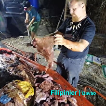 Balinanın midesinden 40 kilo plastik atık çıkarıldı