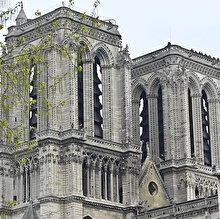Tarihi 'Notre Dame' kül olurken ortaya atılan kulak tırmalayıcı 5 teori