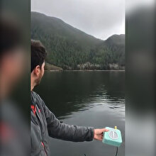 Balinaların 'konuşmaları' ilk defa bu kadar net kaydedildi