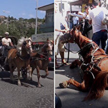 Faytonlarla ilgili ilk somut adım atıldı