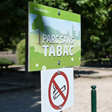 Paris'te çok konuşulacak uygulama başladı: Parklarda sigara içmek artık yasak
