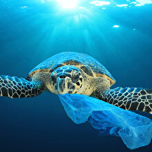 Küresel problem: Plastik atıklar kaç oranında geri dönüştürülüyor?