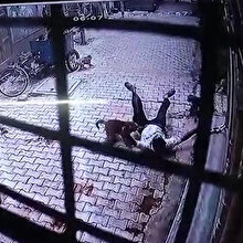 Mahallede maymun çetesinin saldırısına uğrayan adamın zor anları