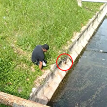 Engelli adamdan insanlık dersi: Kanalizasyonda mahsur kalan yavru kediyi böyle kurtardı