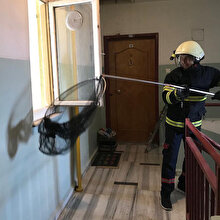 Apartman boşluğunda 60 yarasa bulundu