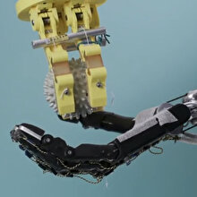 A'dan Z'ye: Robot eller neler yapabiliyor?