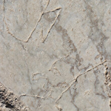 Laodikya Antik Kenti'nde 1500 yıllık üç grafiti bulundu