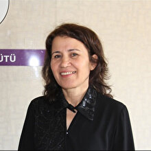 Suruç Belediye Başkanı'na terör soruşturmasından gözaltı