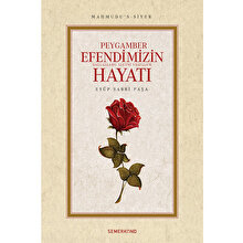 Peygamber Efendimiz’in Hayatı