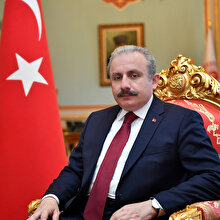 TBMM Başkanı Mustafa Şentop Haluk Bilginer'i tebrik etti