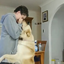 Kriz anında sahibini sakinleşmek için eğitilen köpek