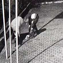 Nefessiz kalan köpeği kalp masajıyla hayata döndürdü