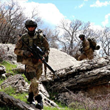 Bitlis ve Siirt'te 'Kıran-8 Sehi Ormanları Operasyonu' başlatıldı
