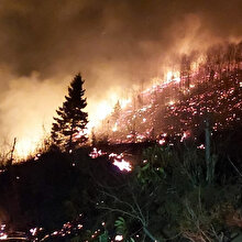 Karadeniz alevler içinde: 69 farklı noktada yangın çıktı