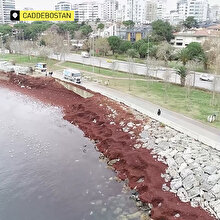 Kızıla bürünen Caddebostan sahil havadan görüntülendi