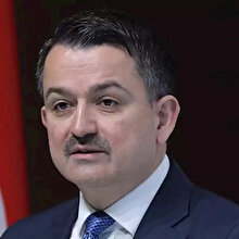 Bakan, Karadeniz'deki yangınlarda zararı açıkladı