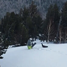 Snowboardcu kar sıçrattığı çalı horozunun saldırısına uğradı