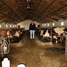 Köyüne dönüp mandıra kurdu: Elektriğe parası yetmeyince karanlıkta kaldı
