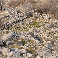 Doğu'nun her köşesi tarih: Adıyaman'da Roma dönemine ait yerleşim alanı bulundu