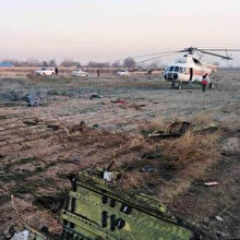 Ukrayna Havayolları'na ait yolcu uçağı İran'da düştü