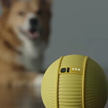 Samsung'un ilk kişisel robotu: Ballie