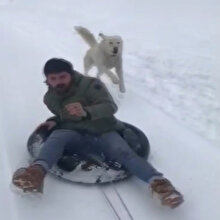 Karda eğlenmek isterken peşine köpek takıldı