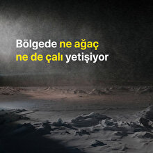 Dünyanın sonuna kısa bir yolculuk: Sabetta Kasabası