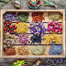 Kokunun iyileştirici gücü : Aromaterapi