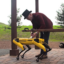 Boston Dynamics'in robotu 'fayton' çekiyor