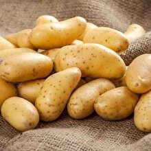 Zenginin de fakirin de baş tacı: Patates