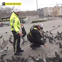 Taksim Meydanı'nda aç kalan güvercinleri trafik polisleri besledi