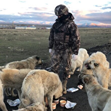 Özel Harekat Polisleri kumanyasını aç kalan sokak köpekleriyle paylaştı