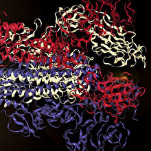 🧠👩🔬🎼 Yapay zekayla koronavirüsün protein yapısı müziğe dönüştürüldü