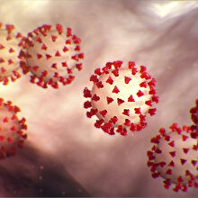 Bilim insanları 6 yeni koronavirüs türü keşfetti